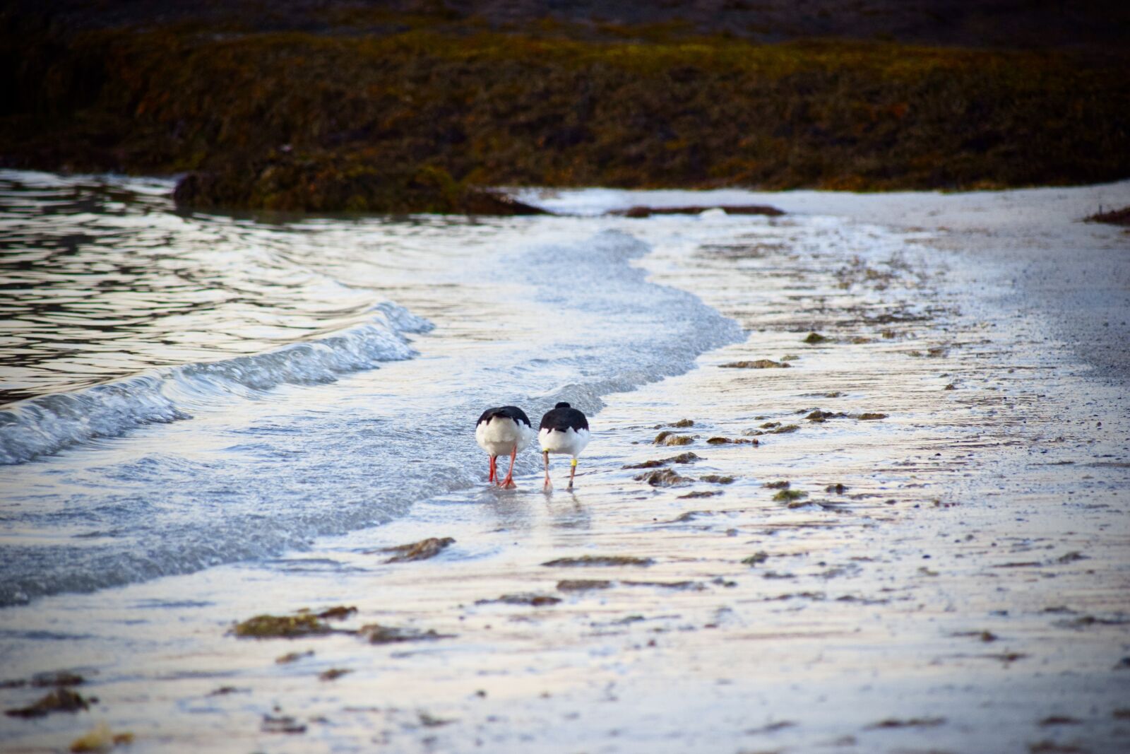 Nikon D5300 sample photo. Waters, nature, sea photography