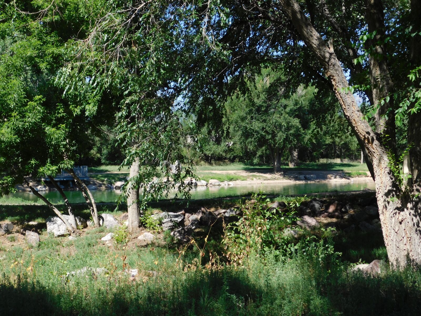Nikon Coolpix B500 sample photo. Water, trees, reflection photography
