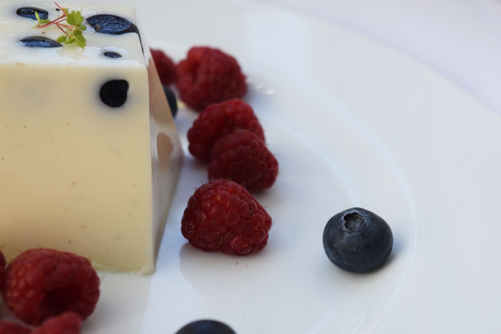 Nikon D3300 sample photo. Panna cotta, raspberries, blueberries photography