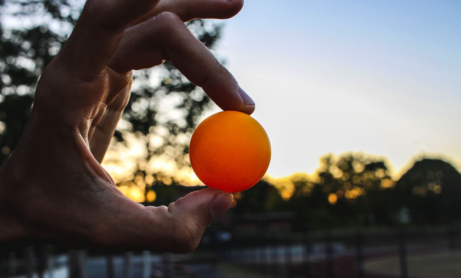 Canon EF-S 24mm F2.8 STM sample photo. Hands, human, ping pong photography