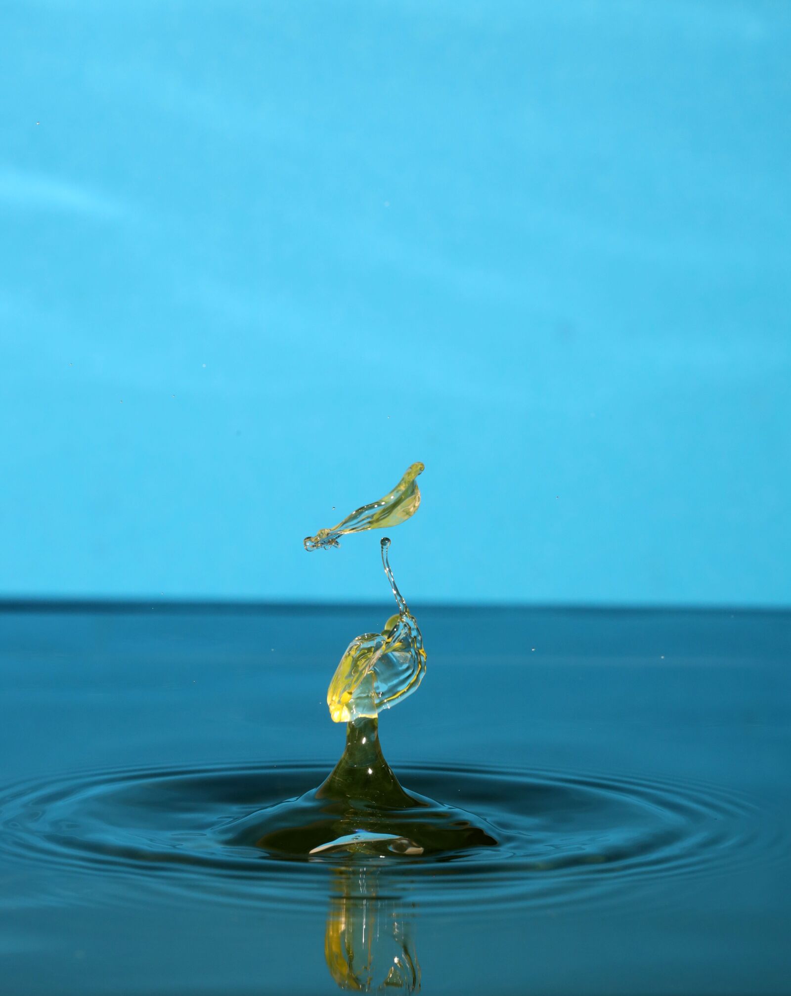 Canon EOS R sample photo. Droplet, water drop, water photography