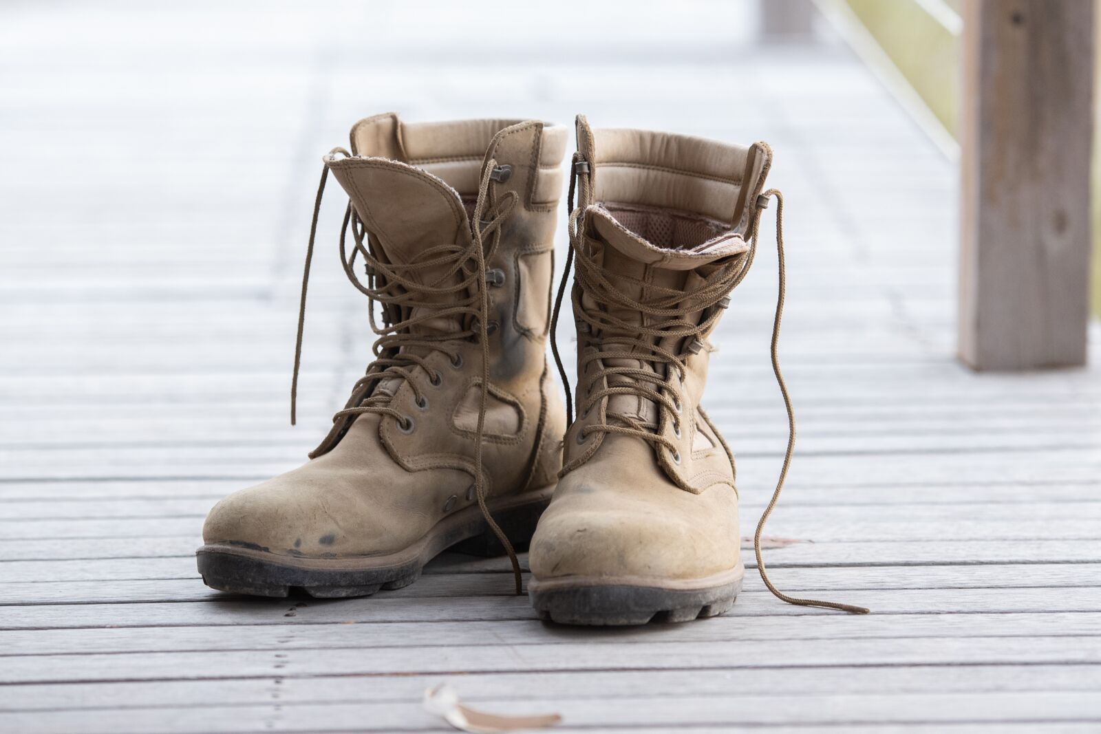 Nikon D750 sample photo. Work boots, boots, shoes photography