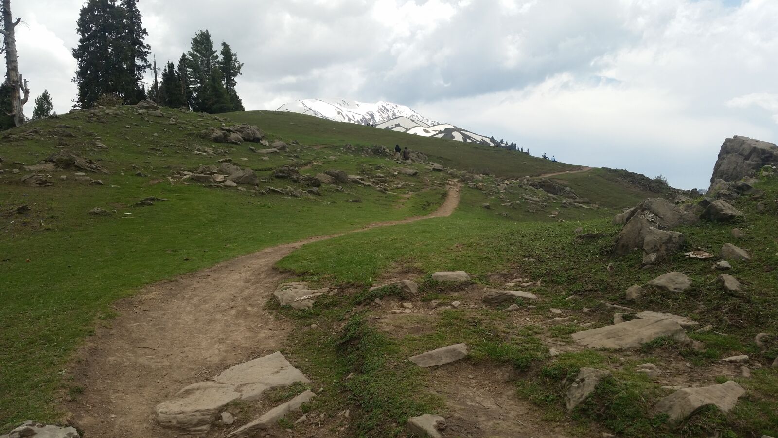 Samsung Galaxy S5 sample photo