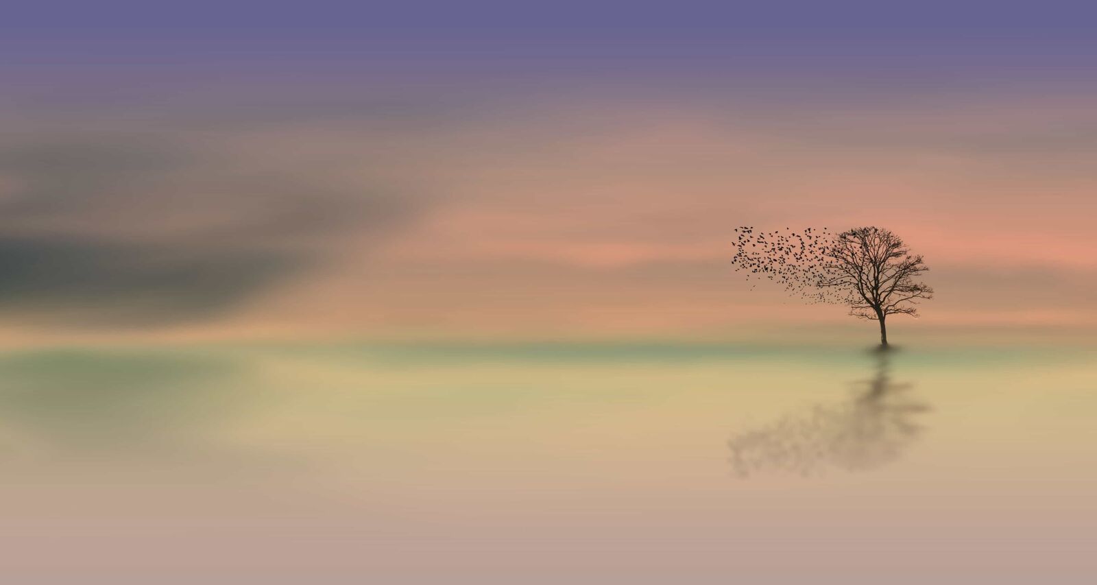 Nikon D700 sample photo. Photomontage, sky, nature, landscape photography
