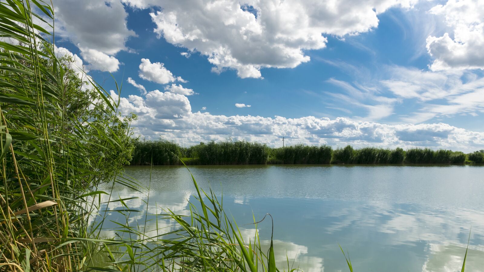Nikon D5300 sample photo. Fish pond, nature, clouds photography
