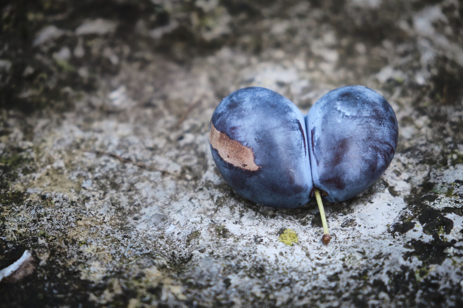 Fujifilm XF 18-55mm F2.8-4 R LM OIS sample photo. Plum, heart, double photography