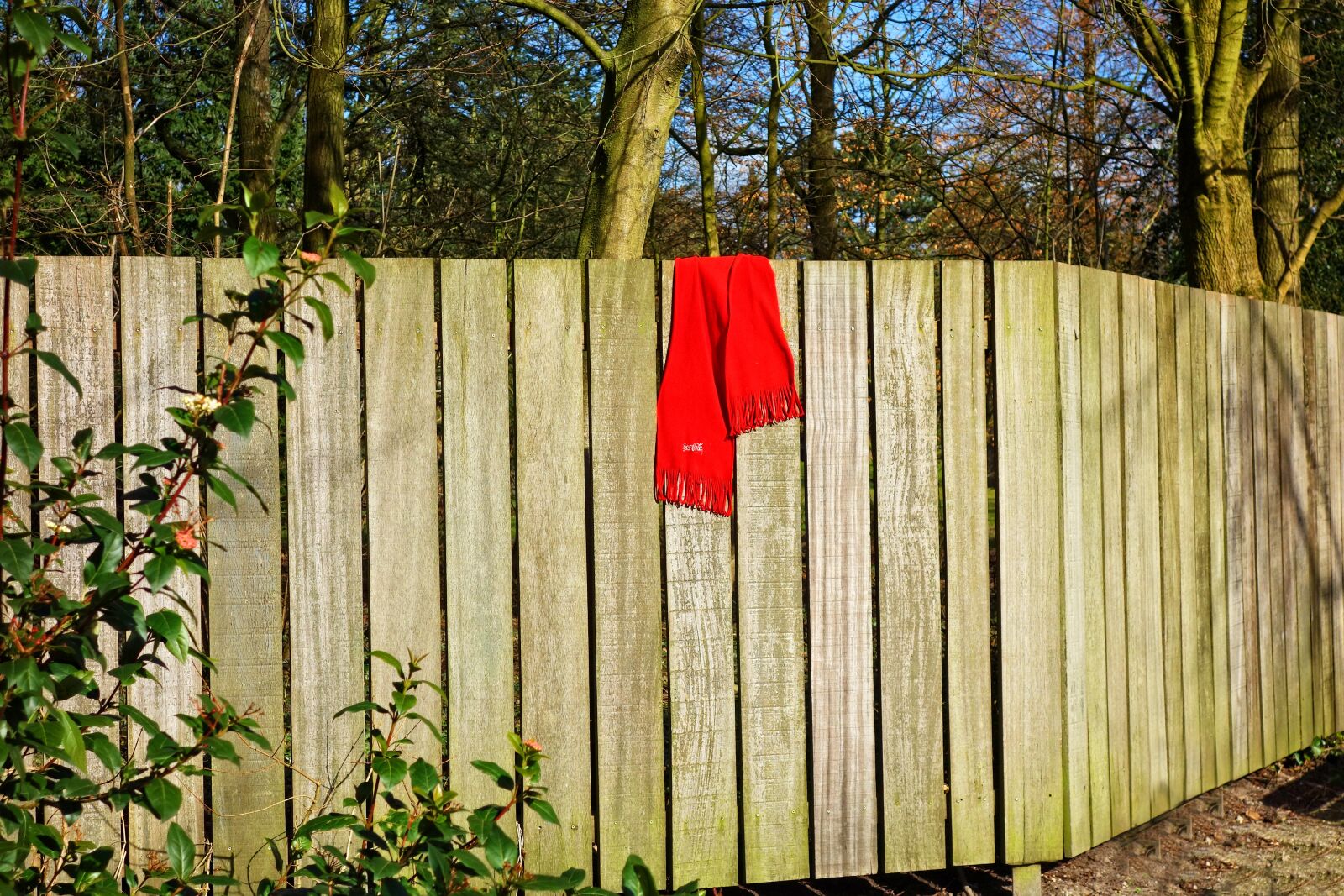 Sony Cyber-shot DSC-RX100 sample photo. Wooden fence, fence, plank photography
