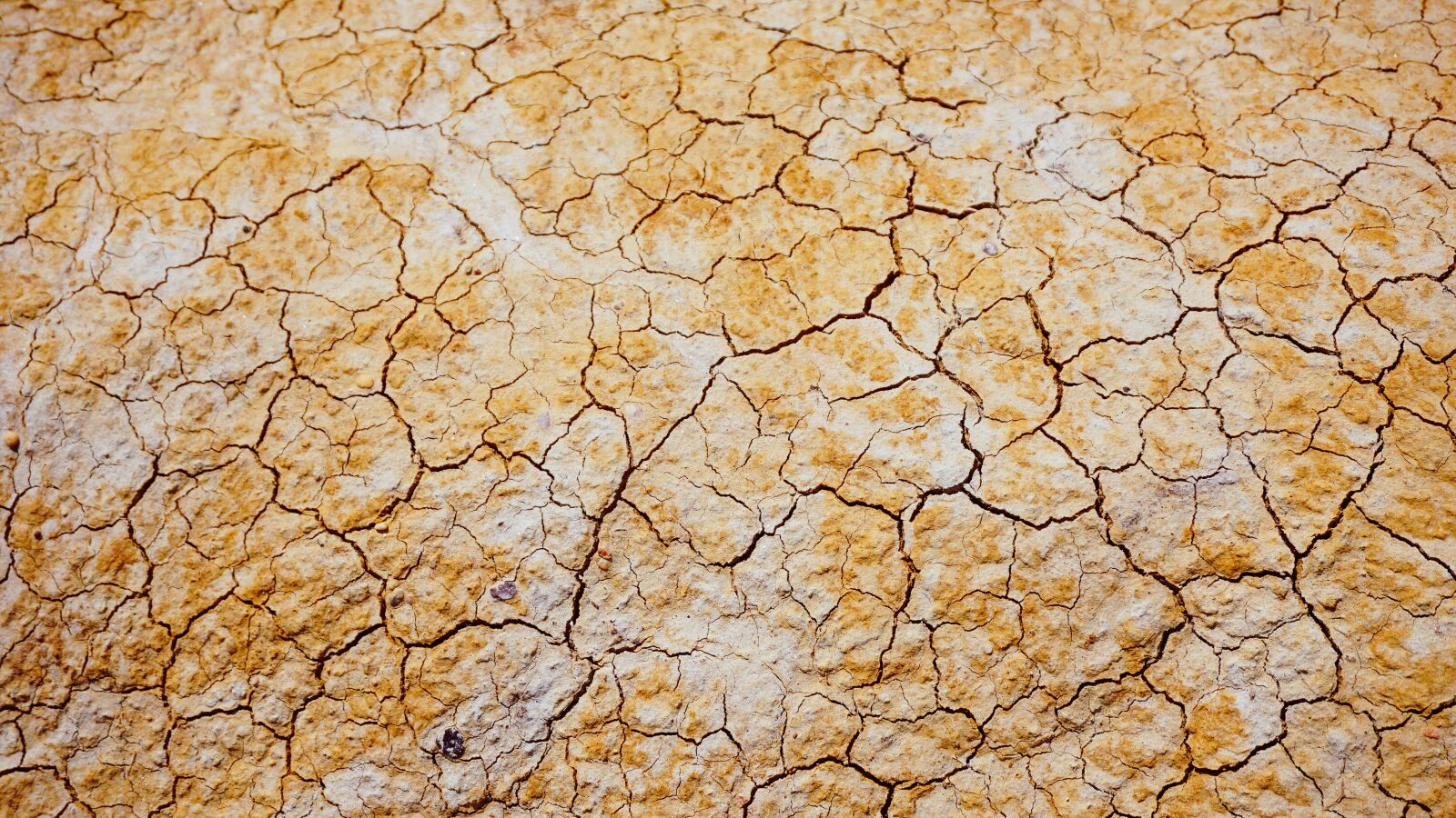 Sony a6000 sample photo. Abstract, arid, barren photography