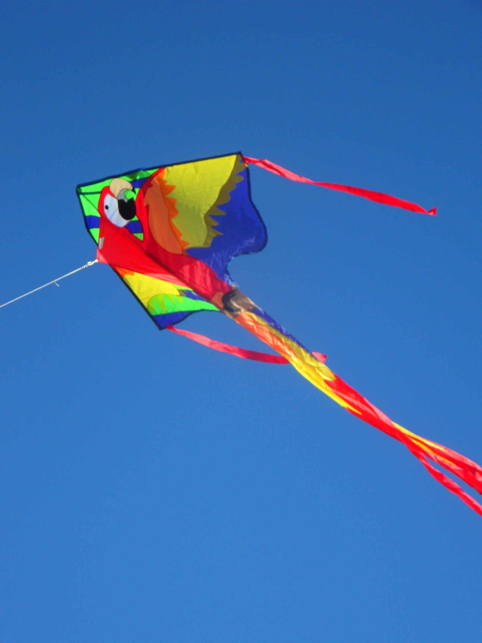 Samsung VLUU WB210, SAMSUNG WB210 sample photo. Dragons, parrot, sky photography