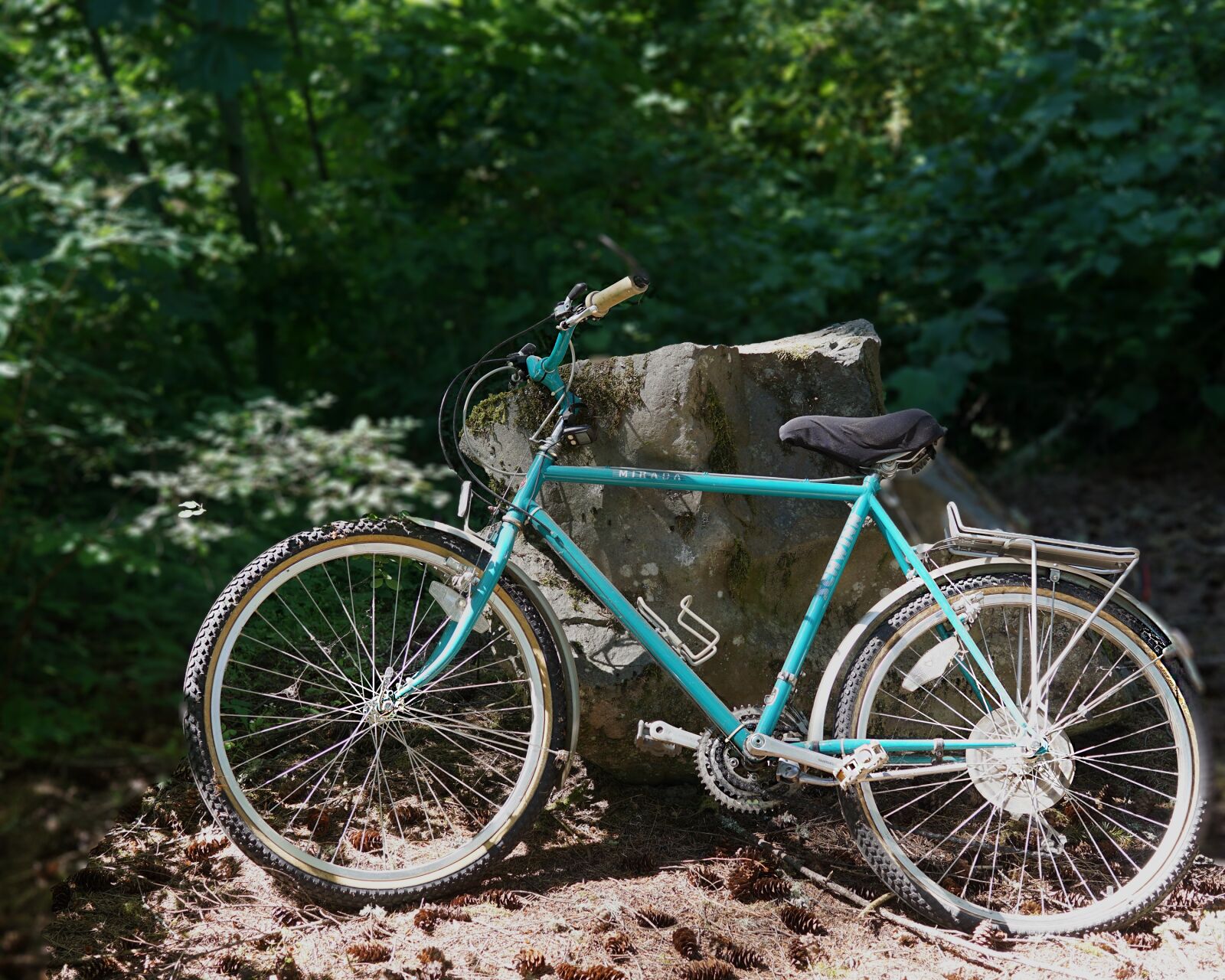 Sony a6000 + Sigma 30mm F2.8 EX DN sample photo. Bicycle, old, schwinn photography