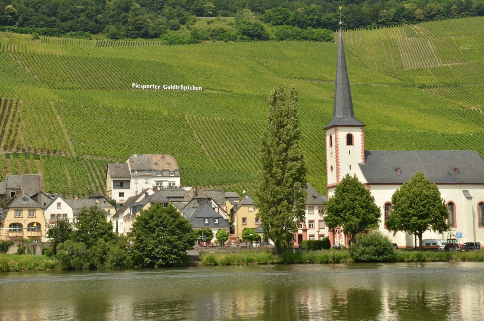 Nikon D7000 sample photo. River, moselle, wine photography