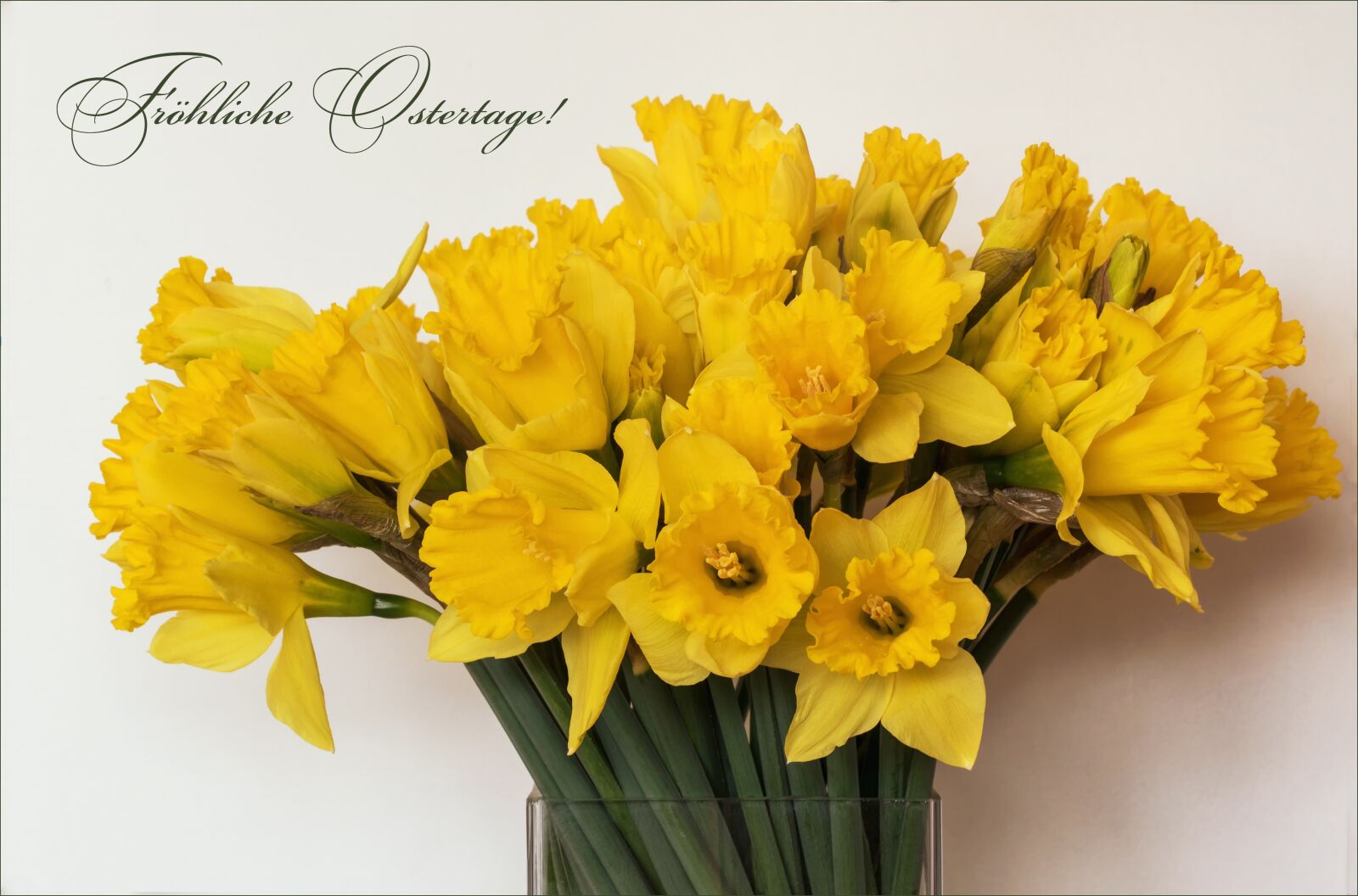Canon EOS 7D Mark II sample photo. Nature, flowers, bouquet photography
