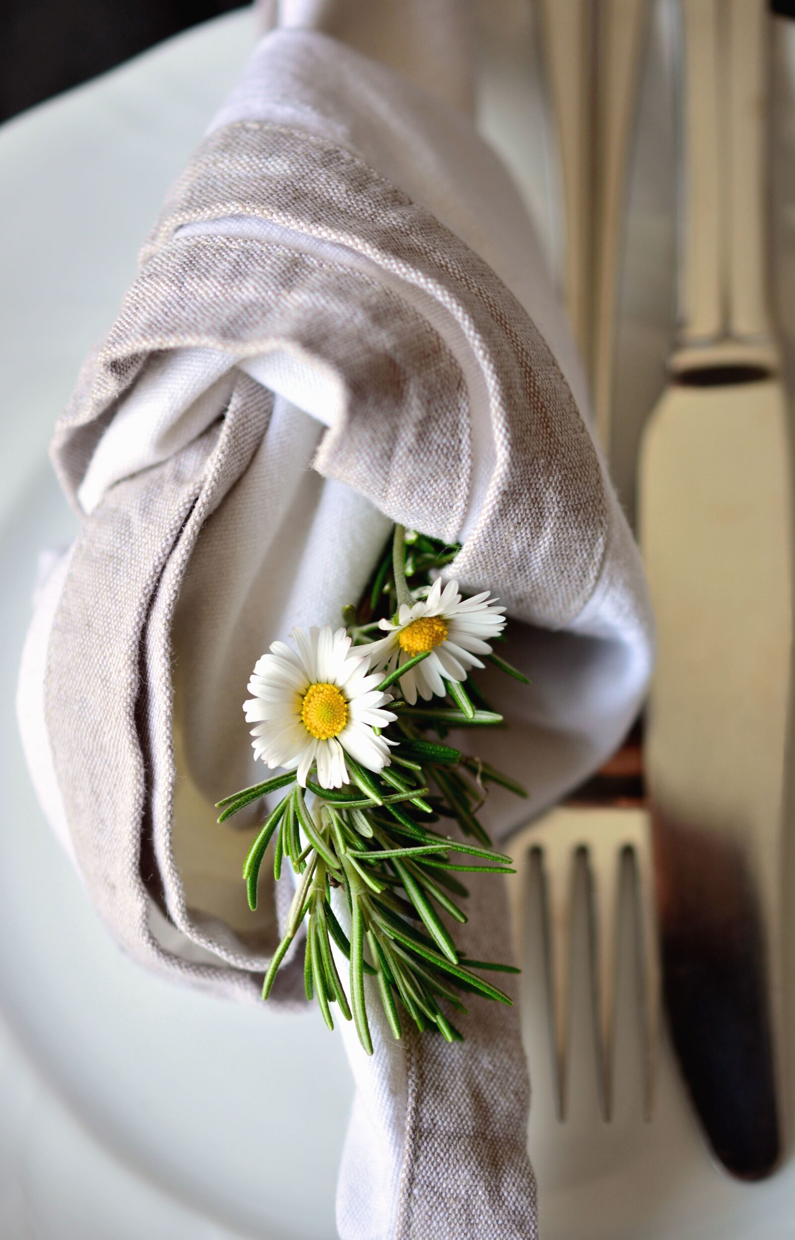 Nikon D5200 sample photo. Rosemary, white labor, plant photography