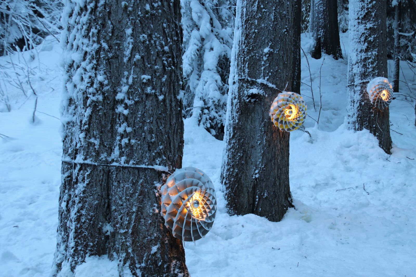 Canon EOS 80D sample photo. Light, suspended, snow photography