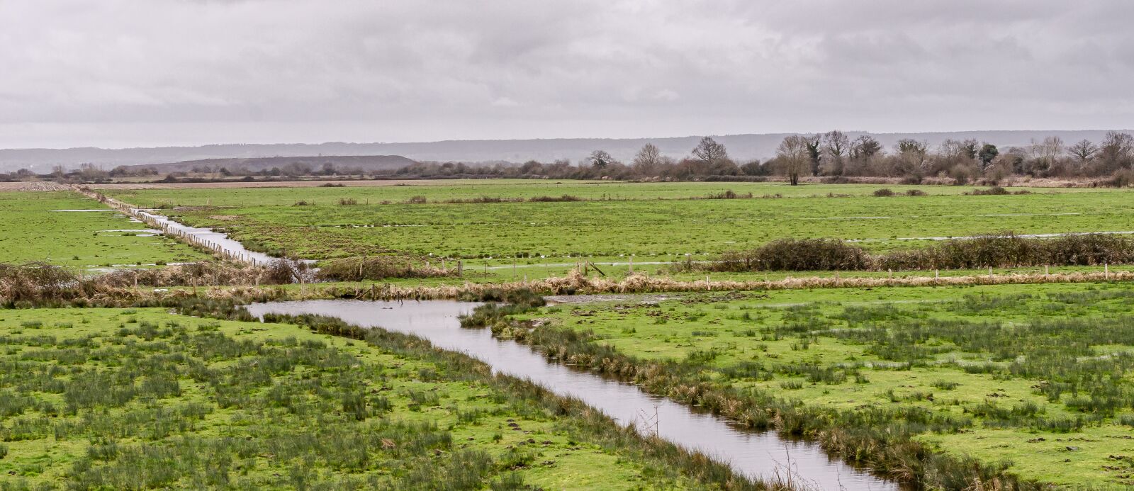 Nikon D7000 sample photo. Area, wet, marsh photography