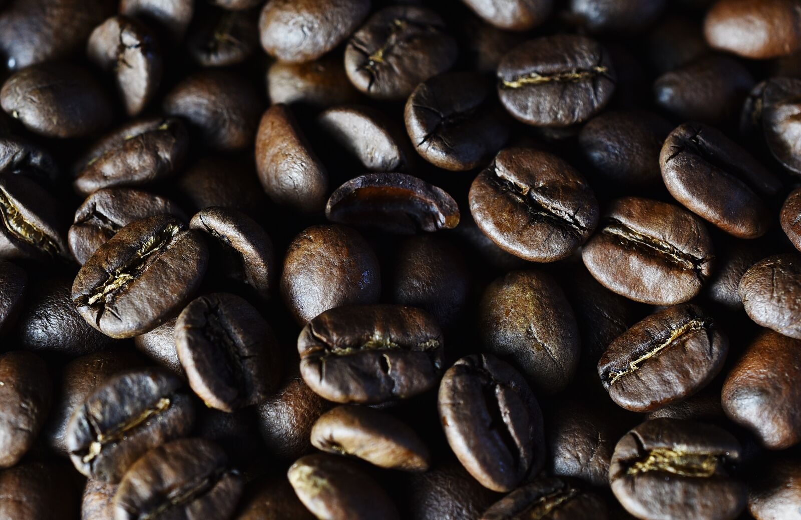 Nikon D750 sample photo. Coffee, grains, grain coffee photography