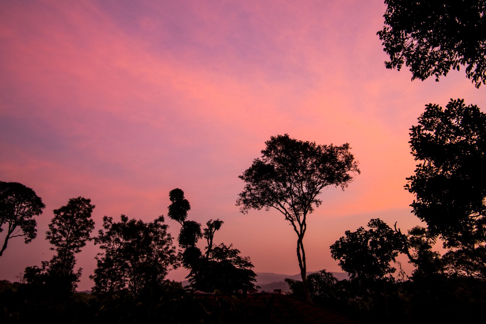 Nikon D5300 sample photo. Sunset, coorg, karnatka photography