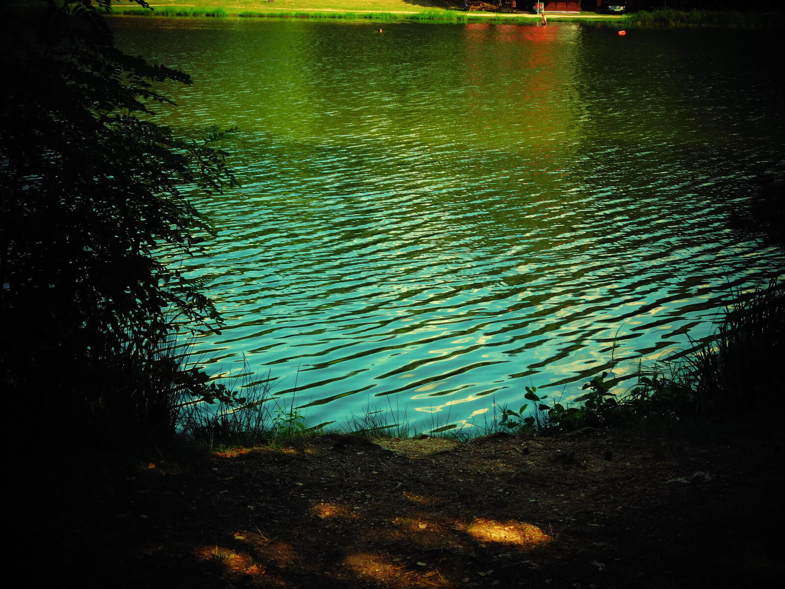 Nikon Coolpix L840 sample photo. Dark, green, lake, nature photography