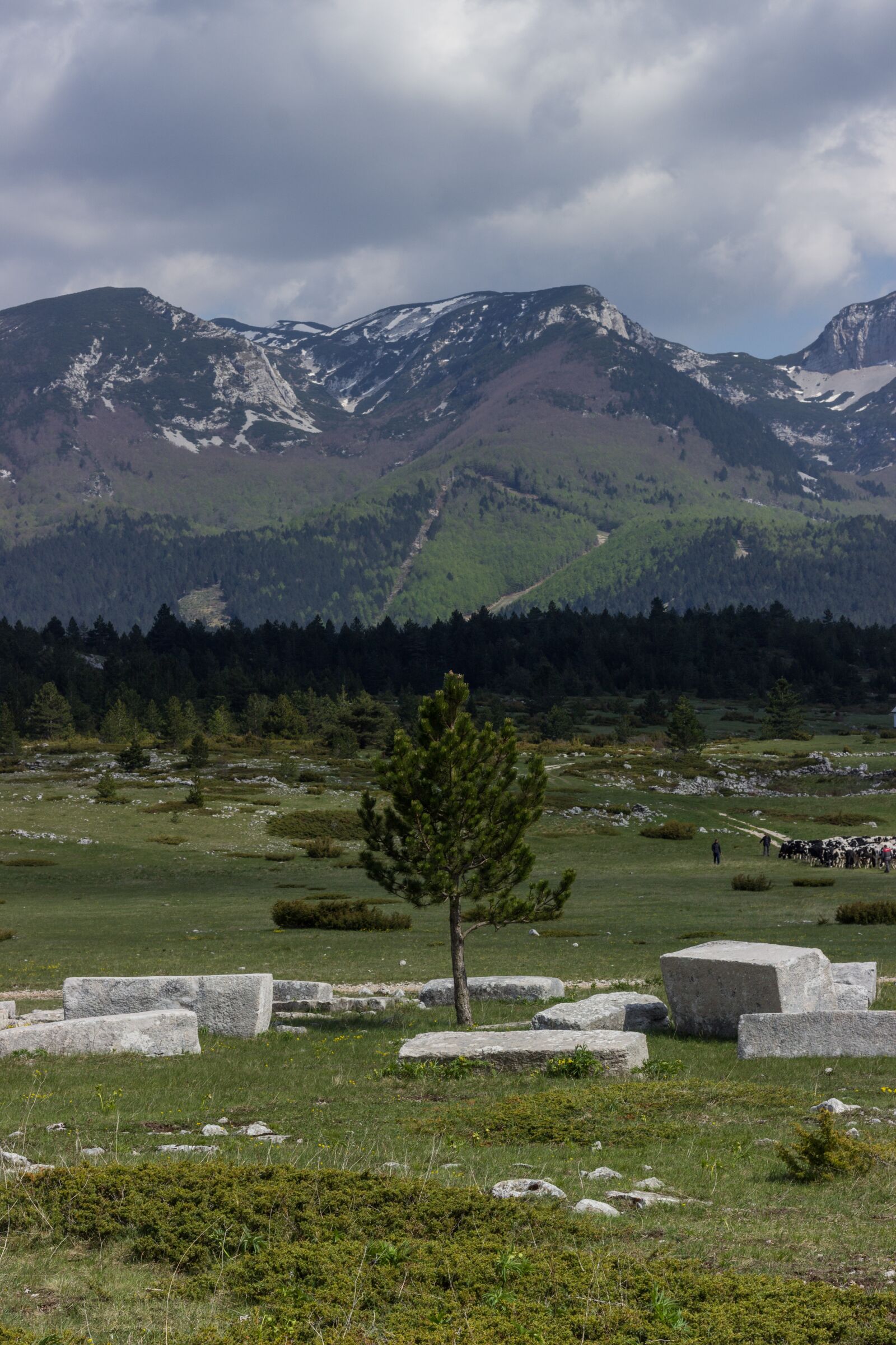 Canon EOS 600D (Rebel EOS T3i / EOS Kiss X5) + Canon EF 50mm F1.8 STM sample photo. Tombstones, monument stones, bosnia photography