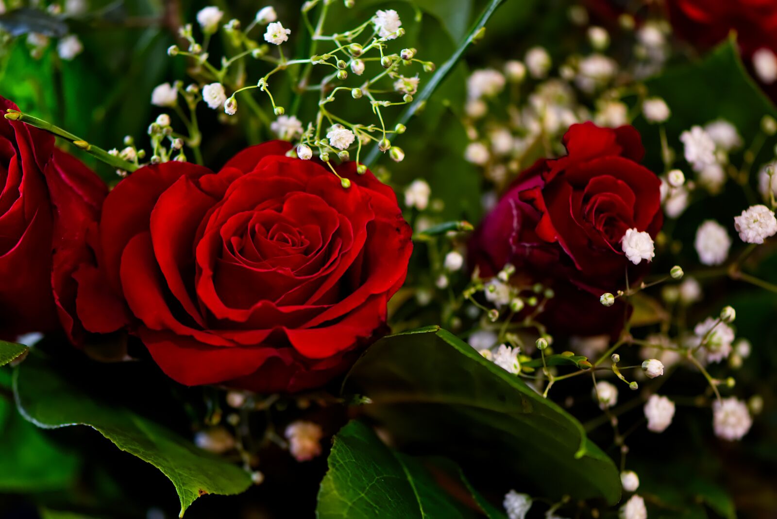 Nikon D7200 sample photo. Roses, bouquet, romantic photography
