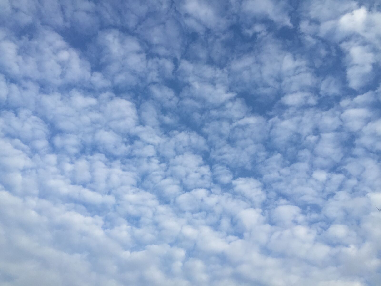 Apple iPhone 6 sample photo. Cloud, sky, blue sky photography