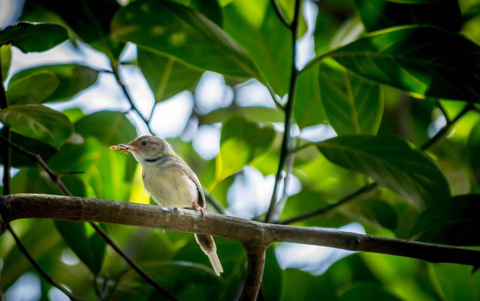 Nikon D7100 sample photo