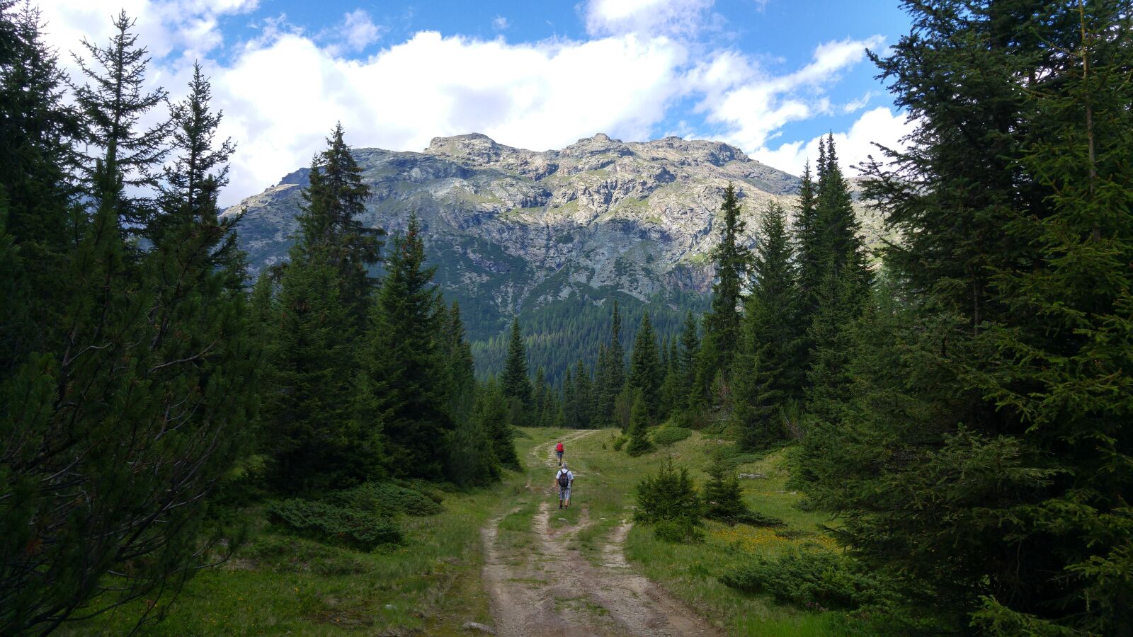 LG G4 sample photo. Valmalenco, mountains, palú photography