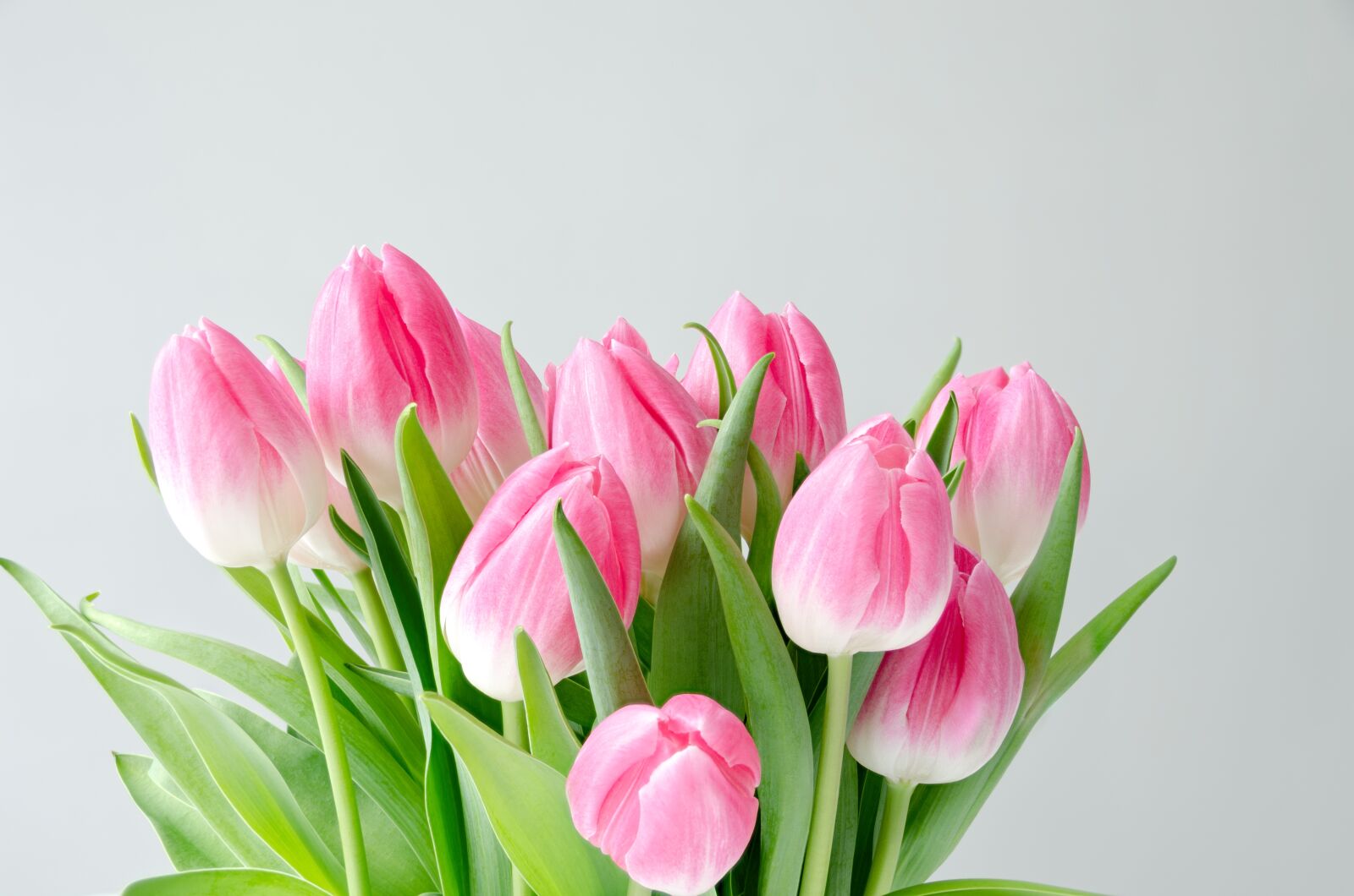 Nikon D7000 sample photo. Flowers, tulips, bouquet photography