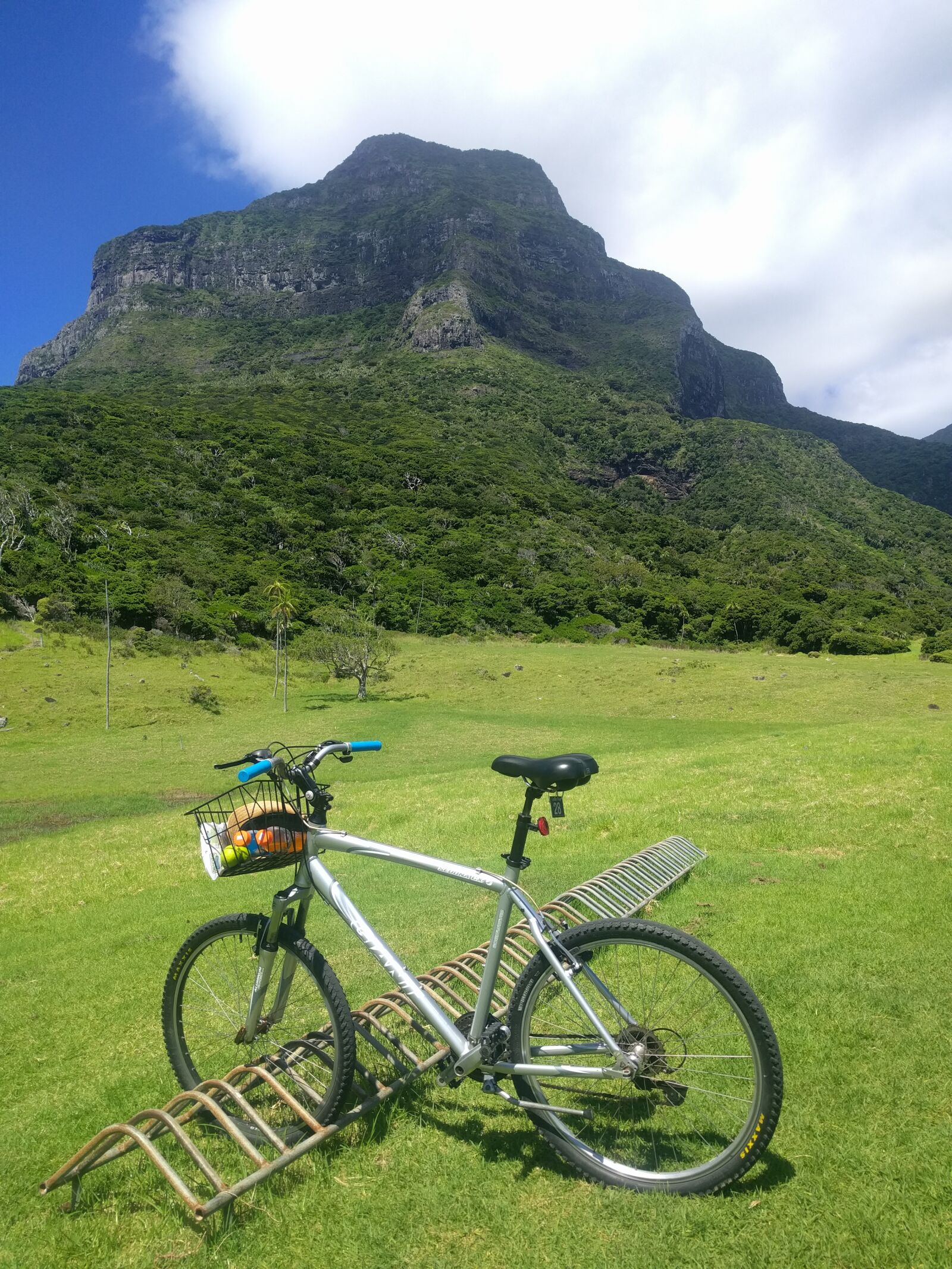 LG Nexus 5X sample photo. Mountain, bike, scenic photography