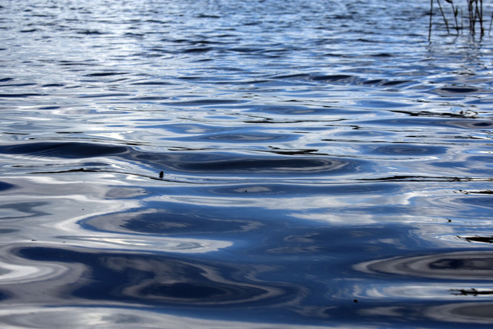 Nikon D3400 sample photo. Wave, water, lake photography