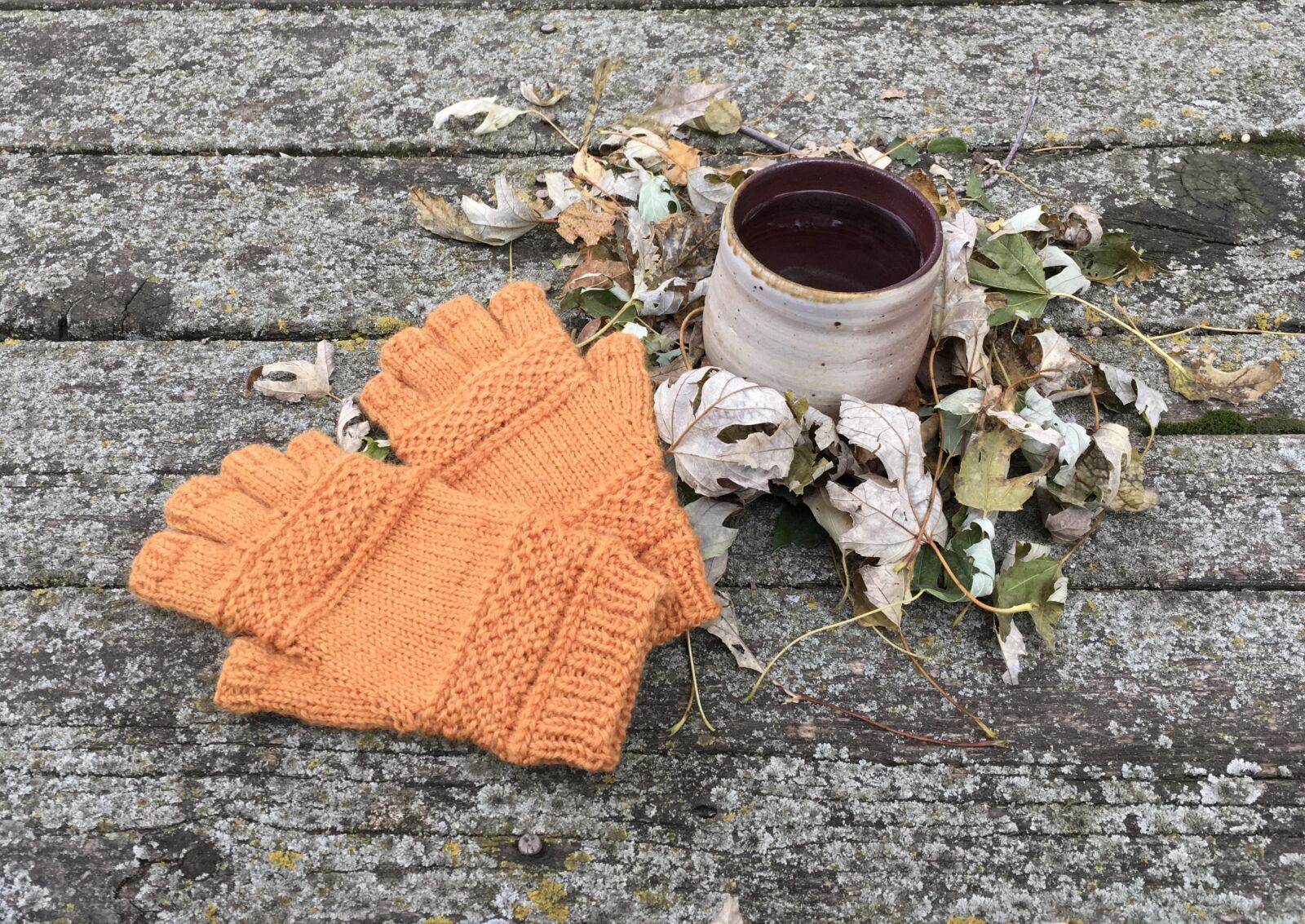 iPad Pro back camera 4.15mm f/2.2 sample photo. Knit, mitts, autumn photography