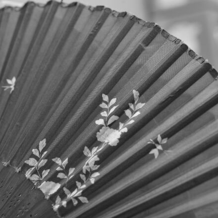 [美品/作例] Nikon AF Micro Nikkor 60mm f2.8D AF Micro Nikkor 60mm f/2.8 - A Hidden Gem? | 5050 Travelog