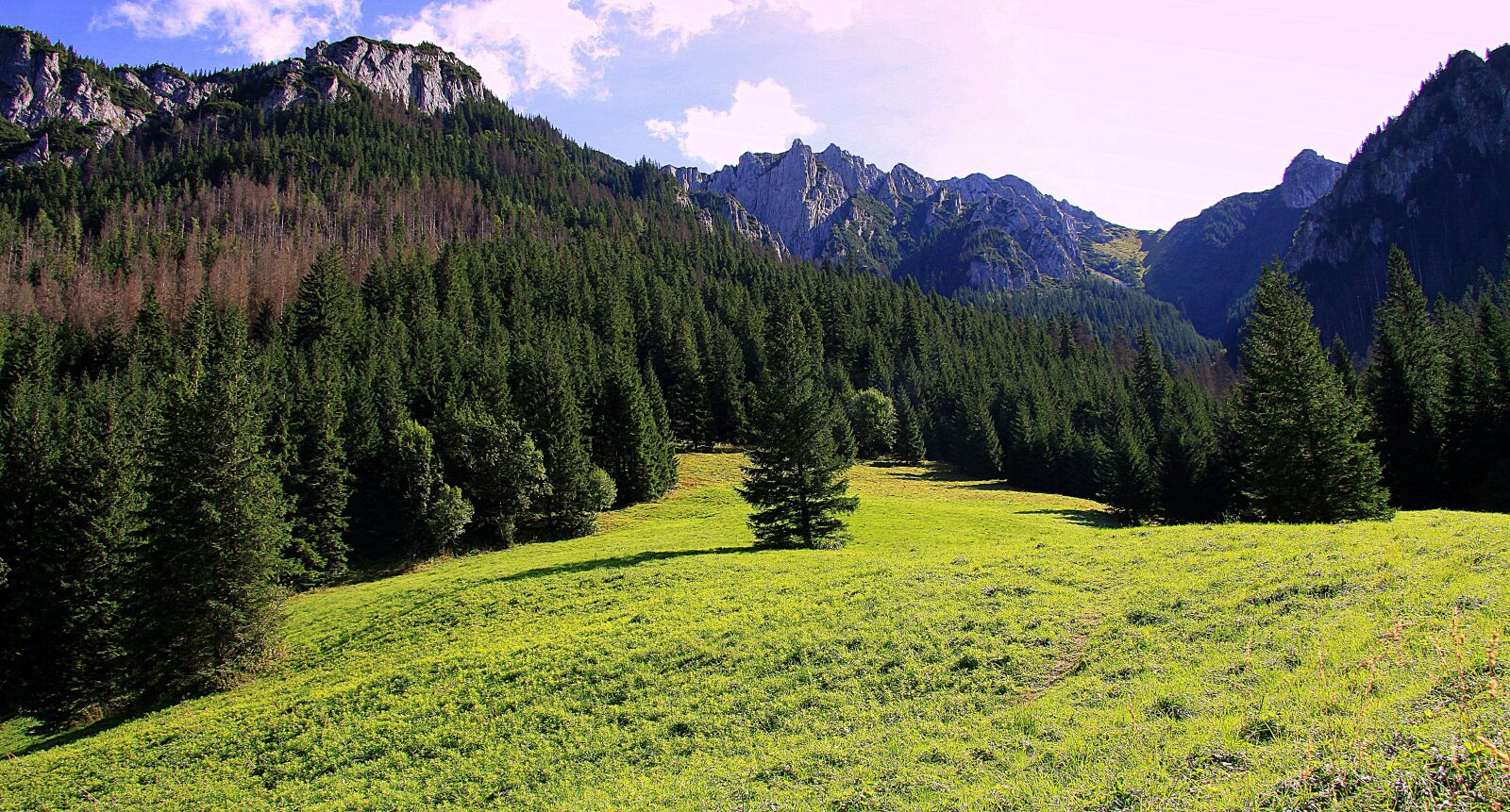 Canon EOS 50D sample photo. Mountains, tatry, poland photography