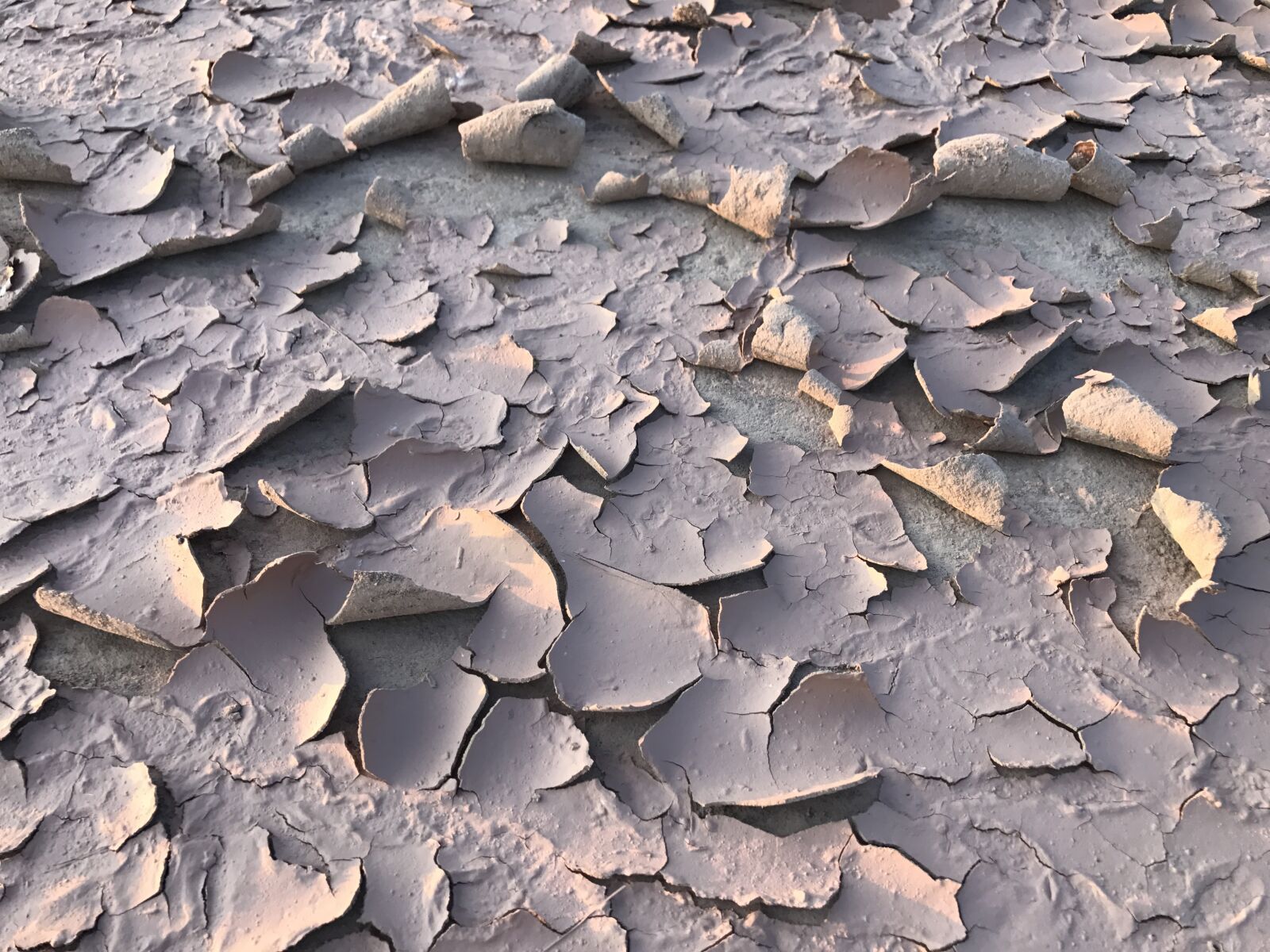 Apple iPhone 7 sample photo. Dried mud, curling mud photography