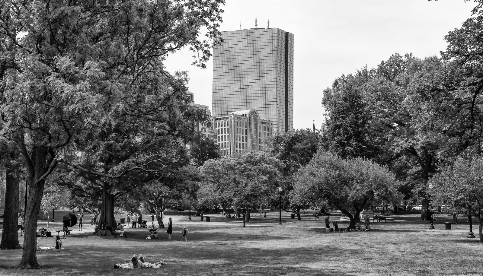 Nikon D7200 sample photo. Boston, commons, park photography