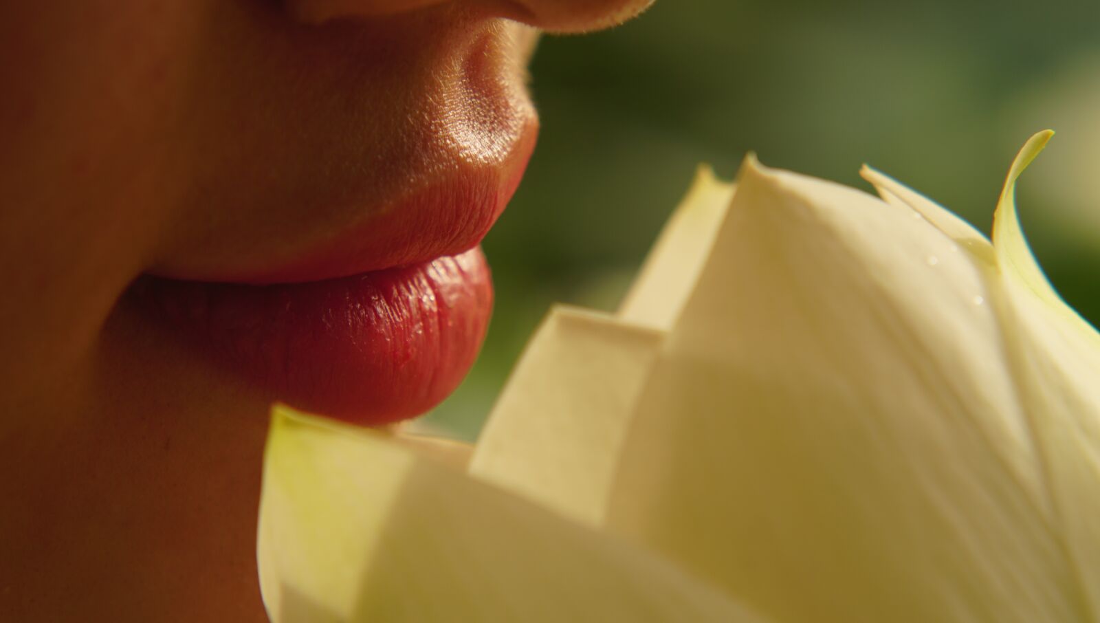 Sony a6300 + Sony FE 70-200mm F4 G OSS sample photo. Lips, lotus, flower photography
