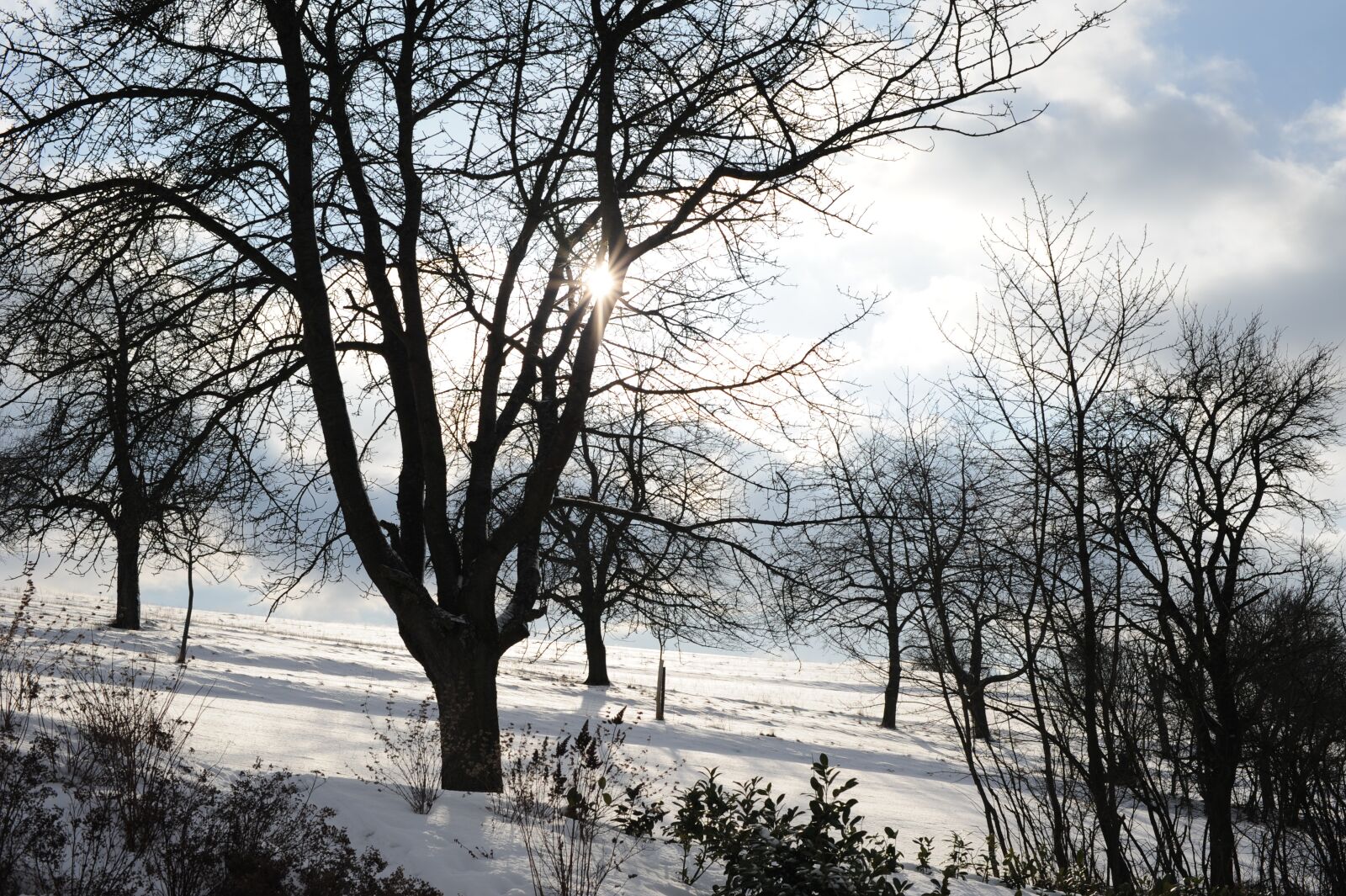 Nikon D700 sample photo. Eberdingen, winter, sun photography
