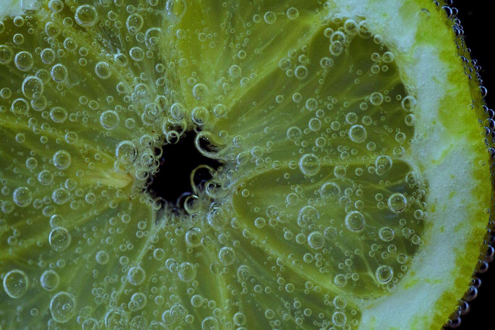 Nikon D3300 sample photo. Lemon, slice of lemon photography