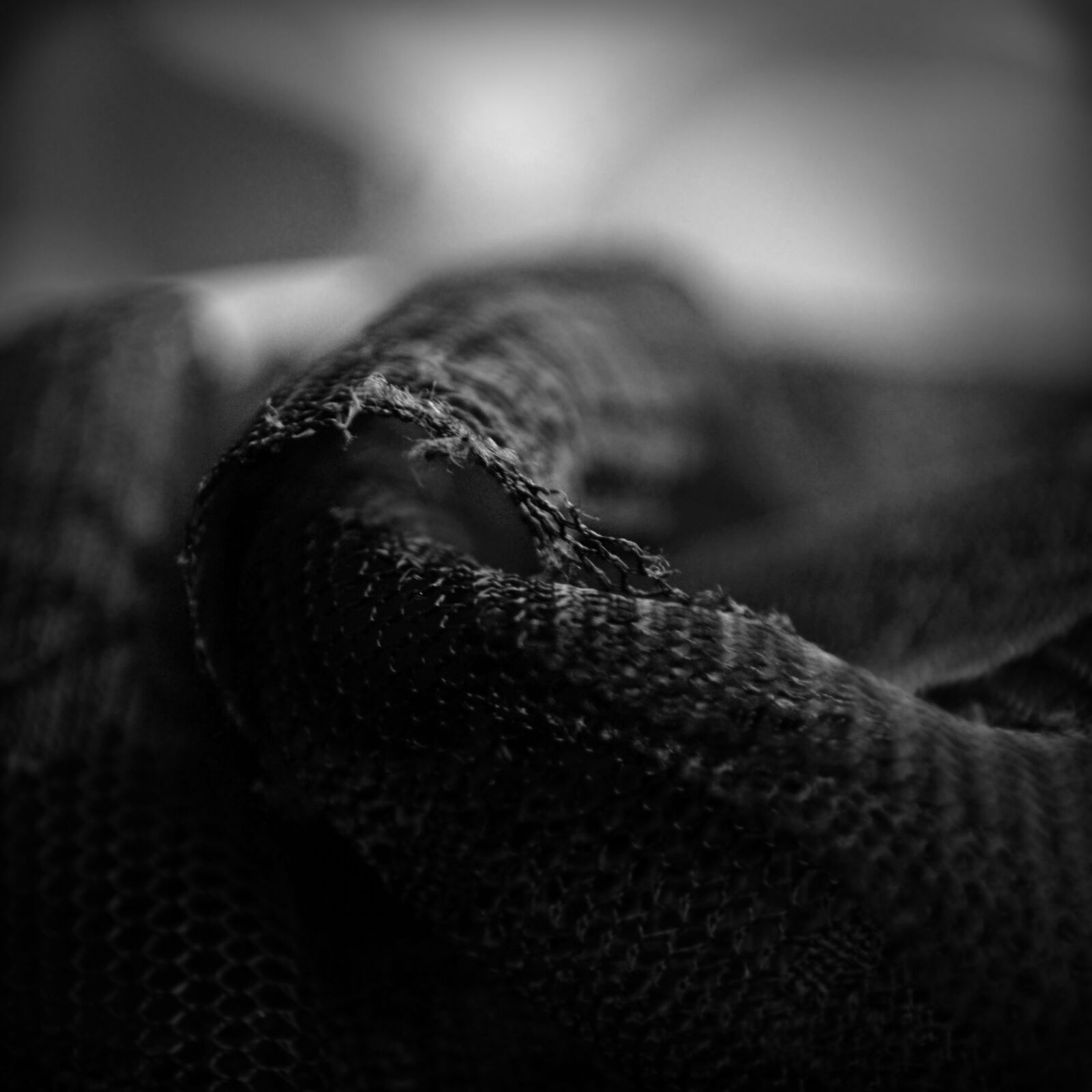 Nikon D3100 sample photo. Abstract, black, and, white photography