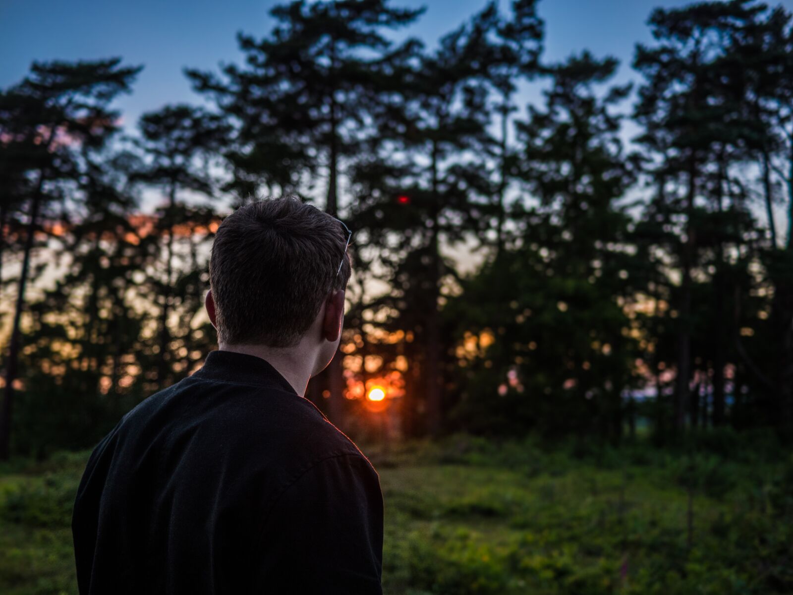 Panasonic Lumix DMC-GH4 + LUMIX G 20/F1.7 II sample photo. People, man, nature photography