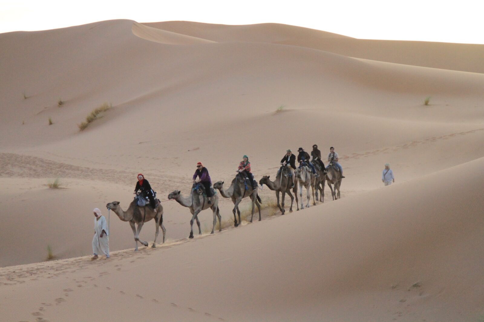Canon EOS 7D + Canon EF 24-105mm F4L IS USM sample photo. Desert, sahara, moroccan photography