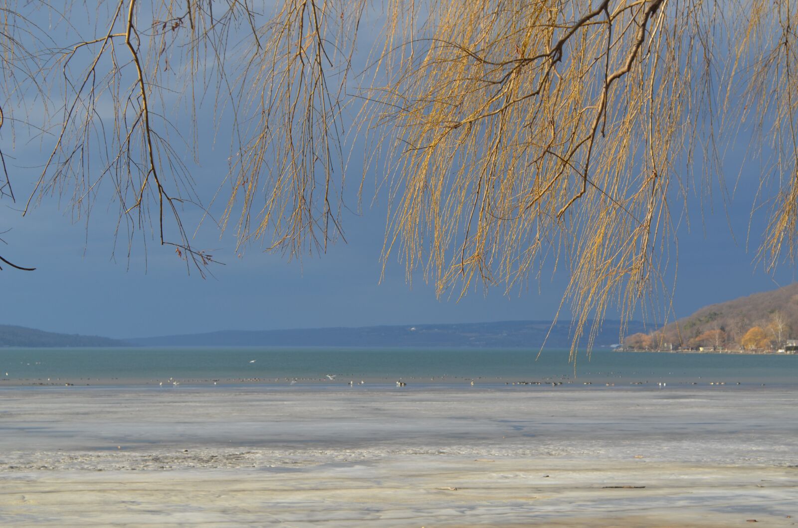Nikon D5100 sample photo. Ithaca, usa, cornell photography