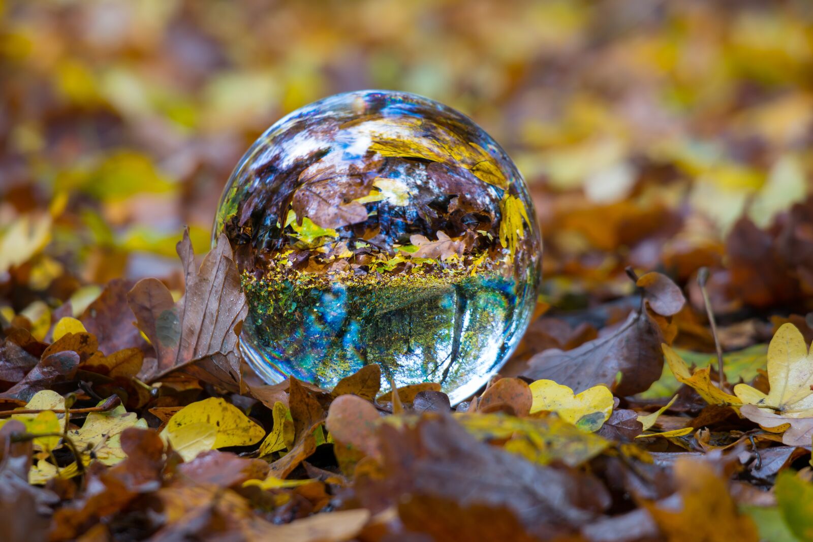 Samsung NX300M sample photo. Autumn, glass ball, ball photography