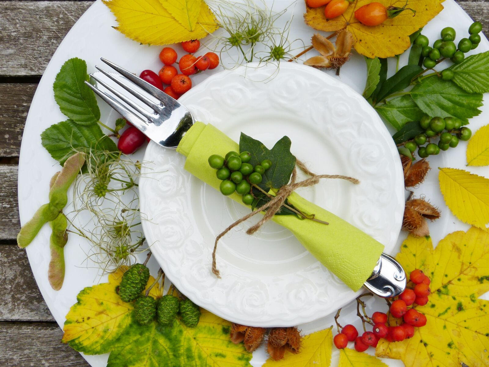 Panasonic Lumix DMC-FZ150 sample photo. Plate, cutlery, autumn photography