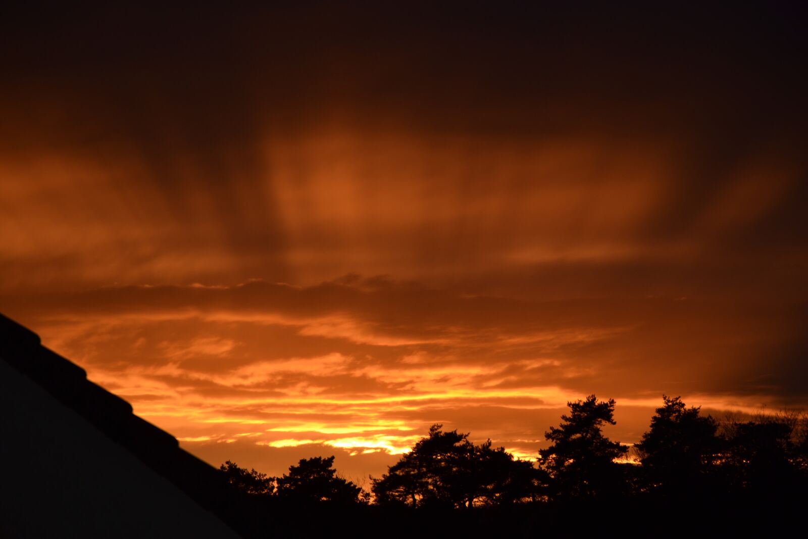 Nikon D3100 sample photo. Sunset, sun, nature sunset photography