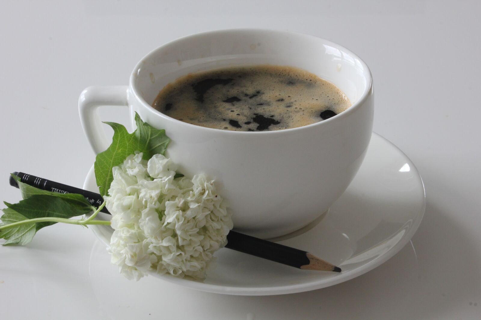 Canon EOS 550D (EOS Rebel T2i / EOS Kiss X4) sample photo. Coffee, flower, still life photography
