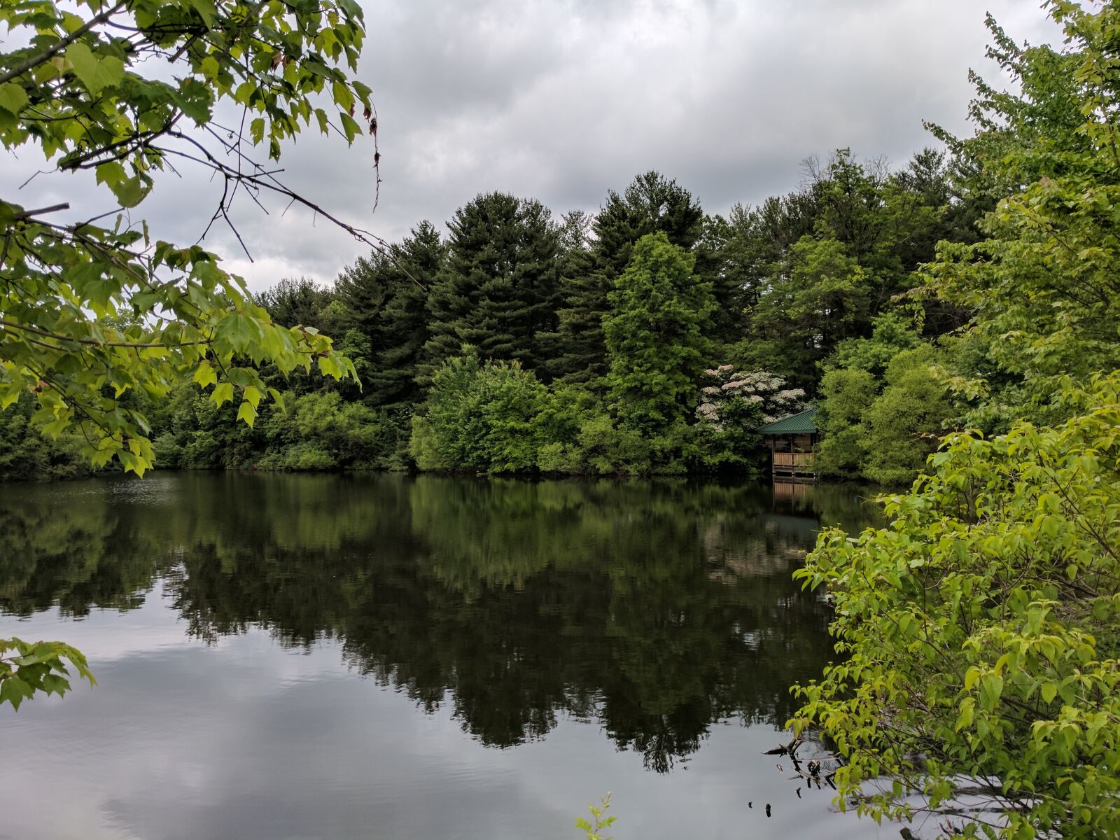 Google Pixel sample photo. Pond, trees, outdoors photography