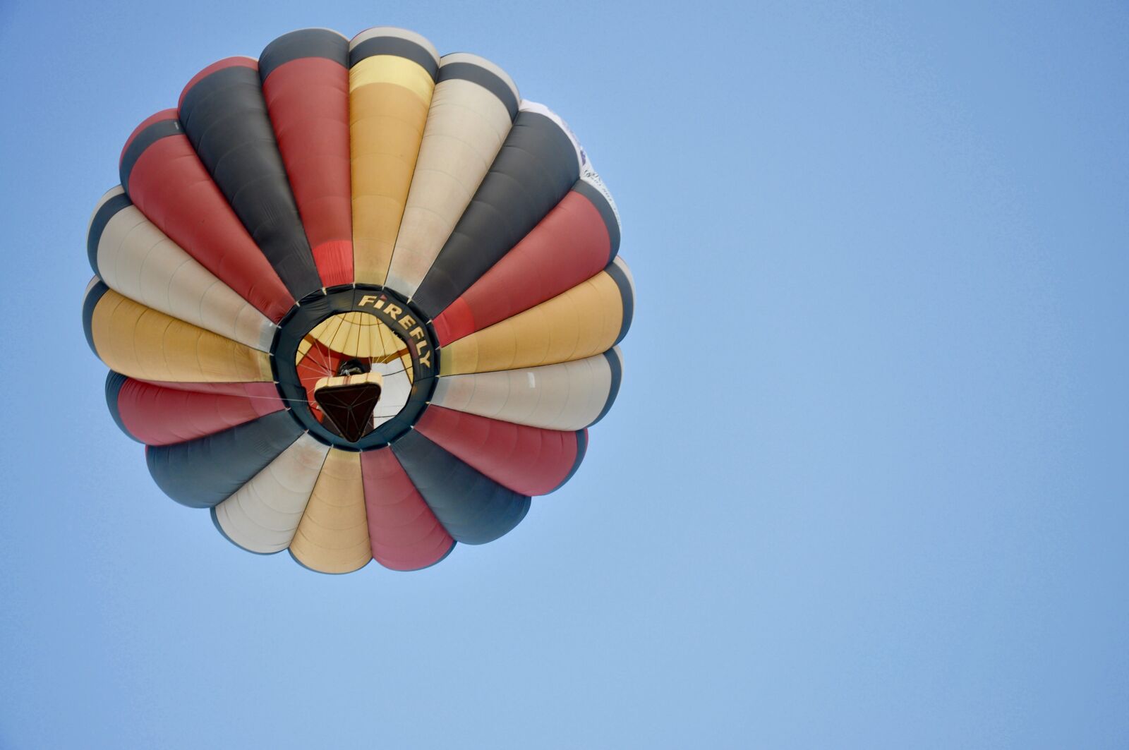 Nikon D90 sample photo. Flower, sky, balloon photography