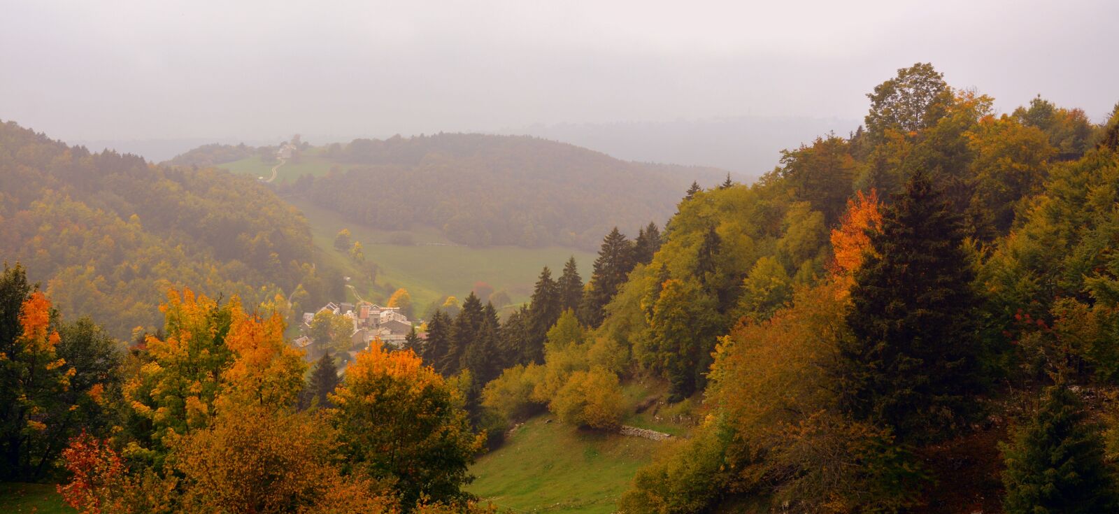 Nikon D7100 sample photo. Forest, autumn, landscape photography