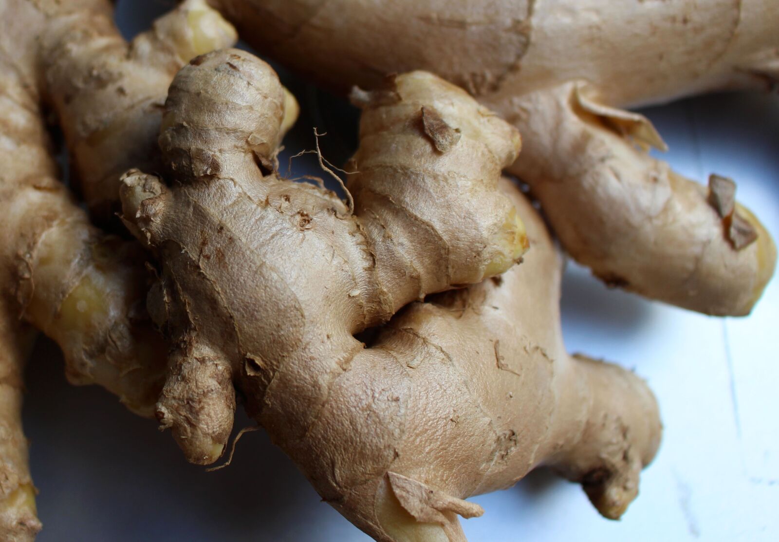 Canon EOS 700D (EOS Rebel T5i / EOS Kiss X7i) sample photo. Root, ginger, spice photography